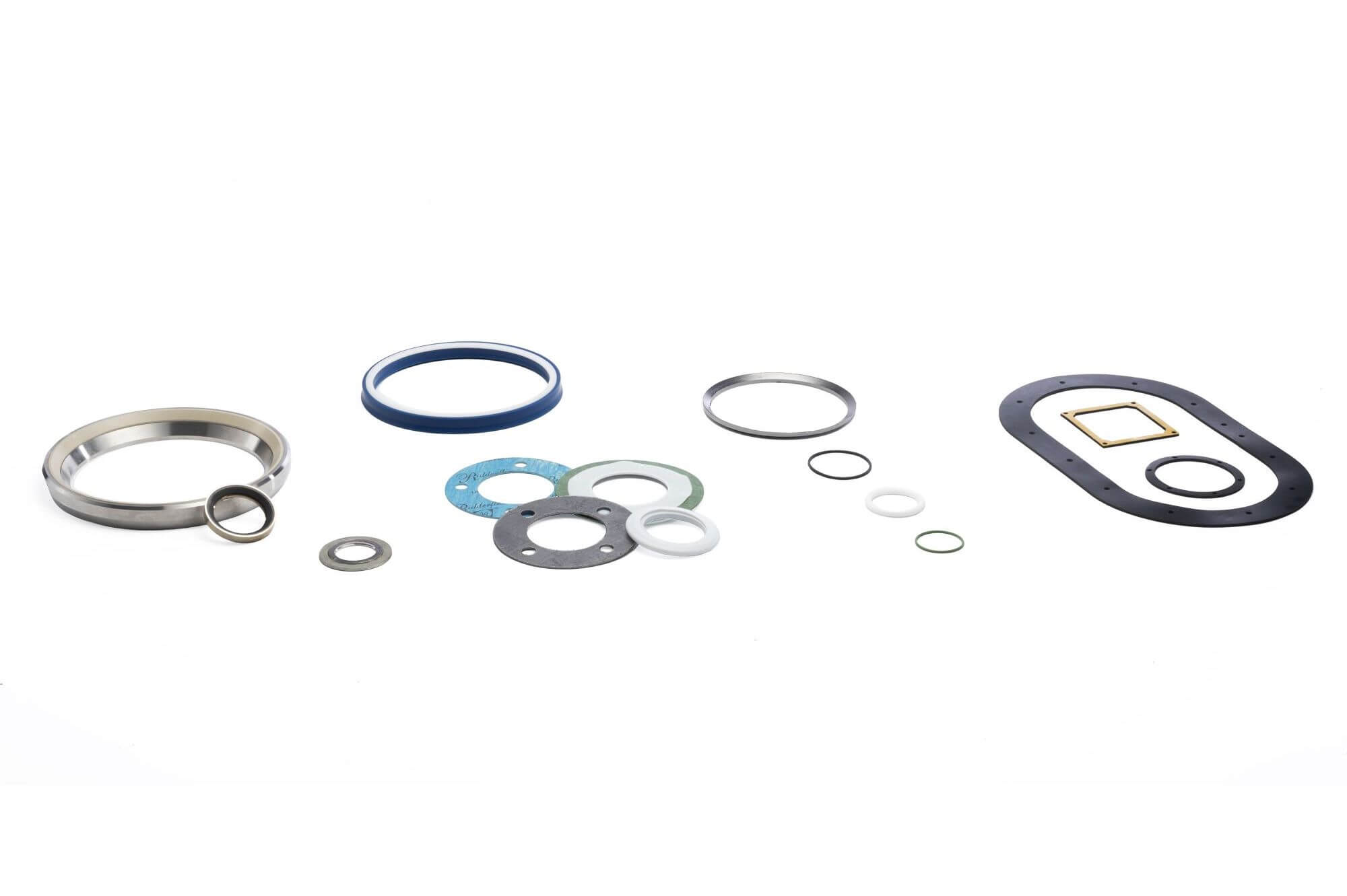 Gaskets and seals Gaskets and seals